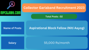 Collector Gariaband Recruitment 2023 ABF