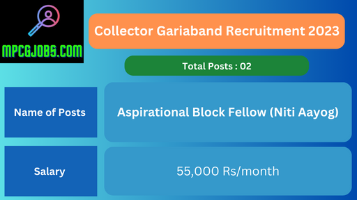 Collector Gariaband Recruitment 2023 ABF